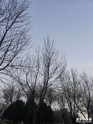 零碎的岛屿也能找到海