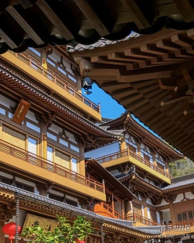 【告别2025】春日求佛