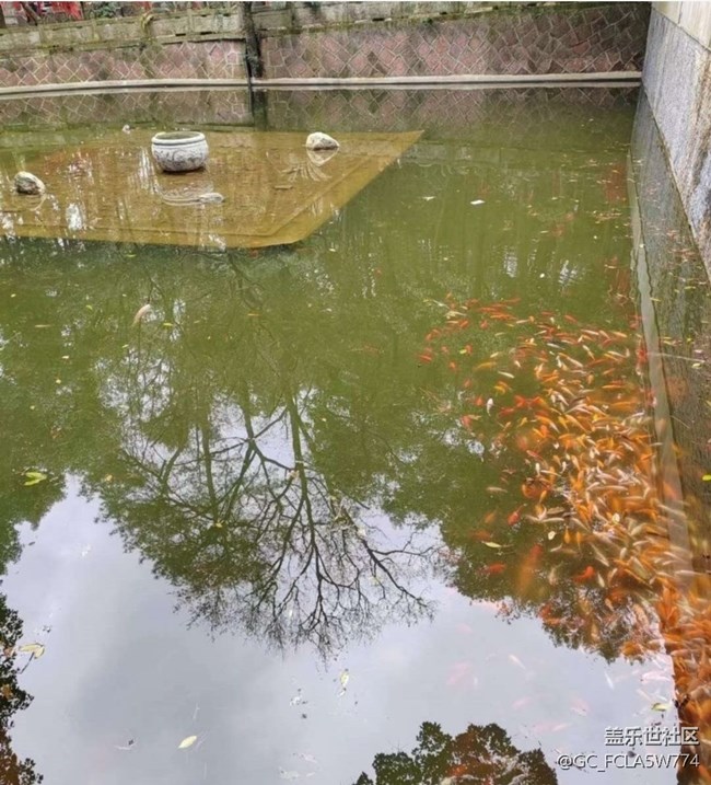 【告别2025】春游