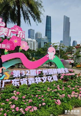 【框住美好】森林文化