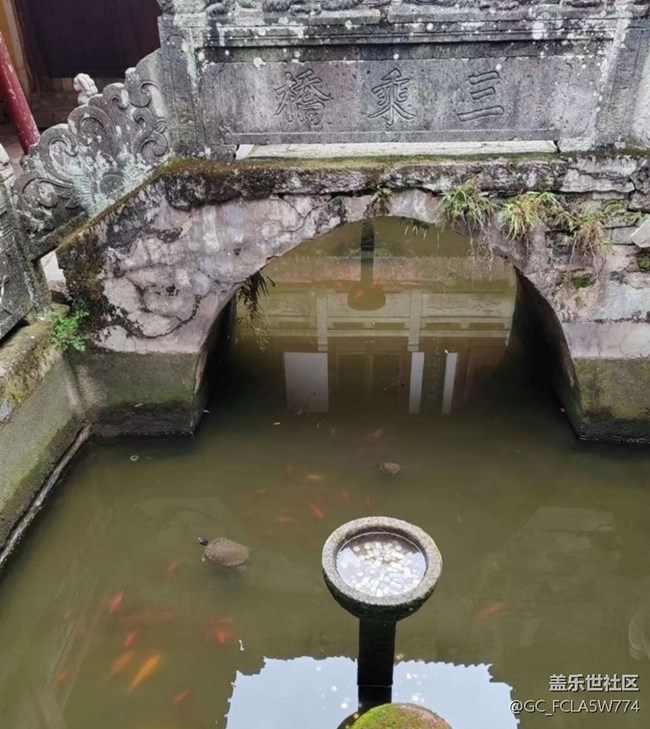 【告别2025】春游