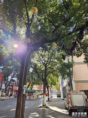 【框住美好】+阳光