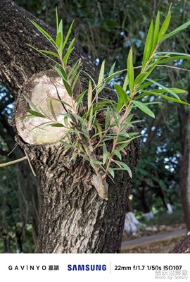 【框住美好】镜头下的林林总总