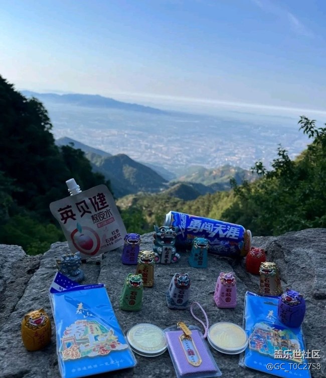 【告别2025】泰山之巅