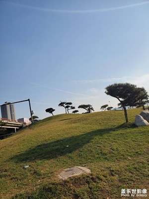 【框住美好】冬日暖阳