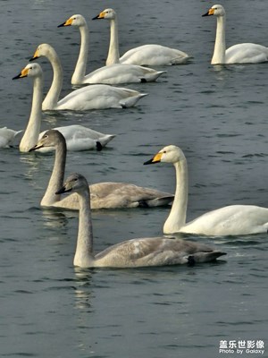 【框住美好】让美好定格