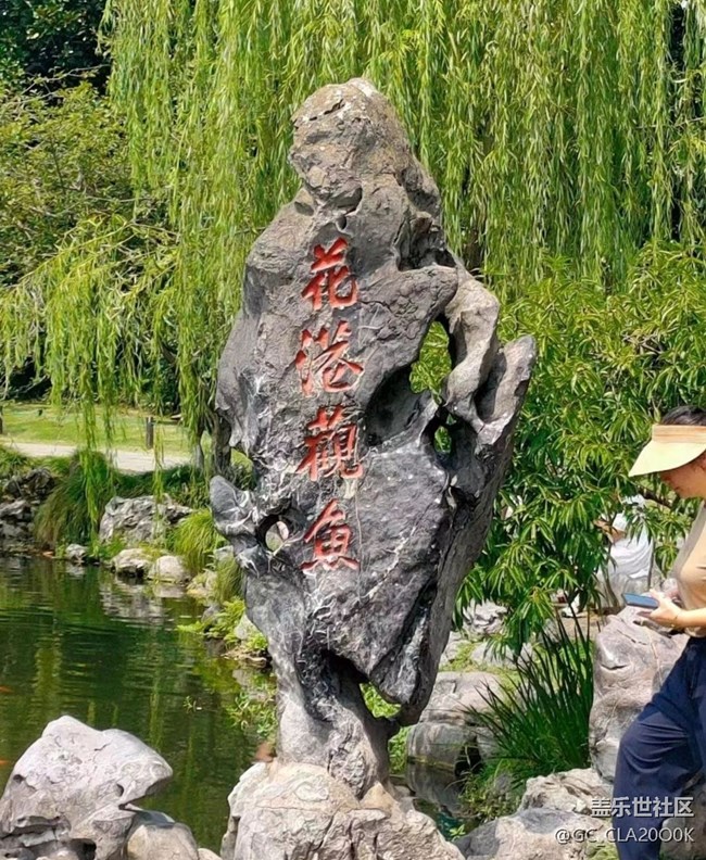 【告别2025】花港看鱼