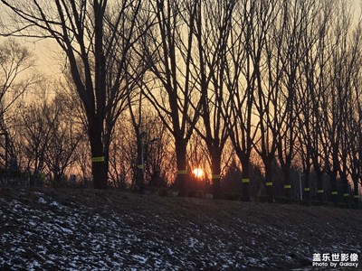 夕阳透过来的地方