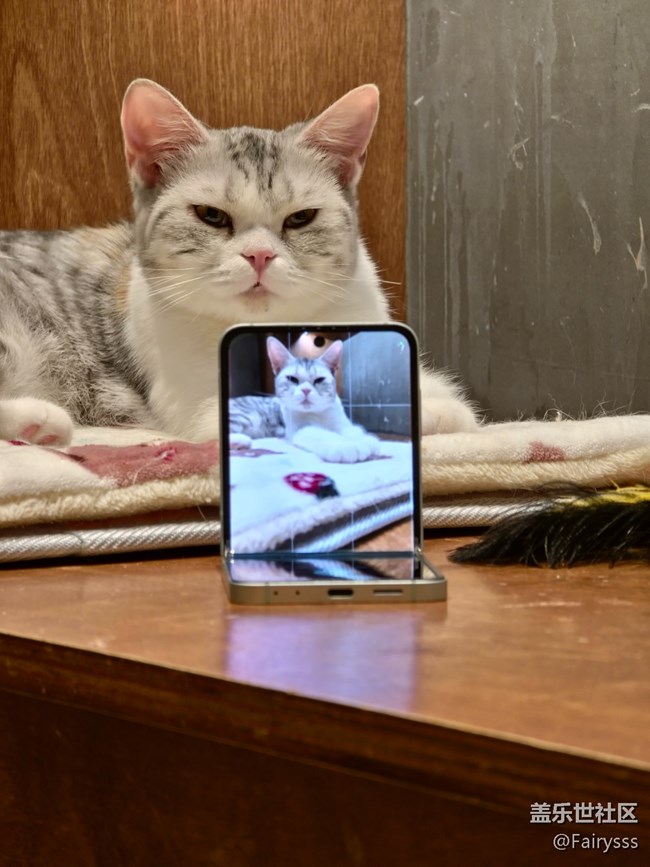 20251215_175528 (1).jpg