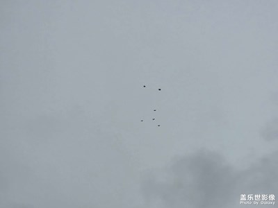 【框住美好】灰色天空