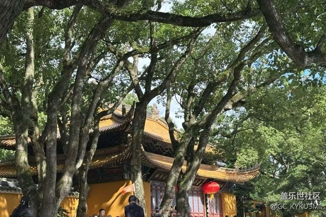 【告别2025】普陀山