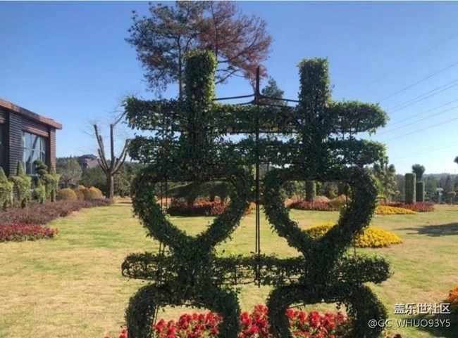 【告别2025】家门口的景