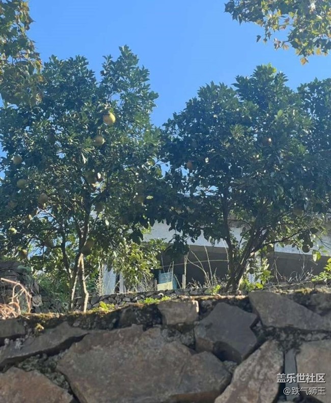 【告别2025】爬山