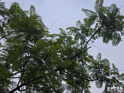 【框住美好】自然的生机