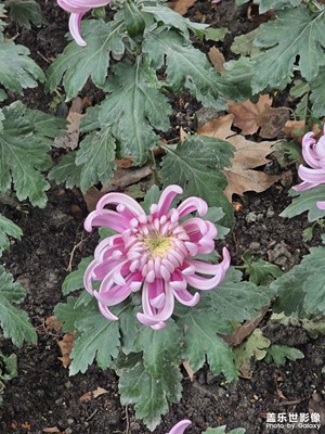 【框住美好】+相册精选