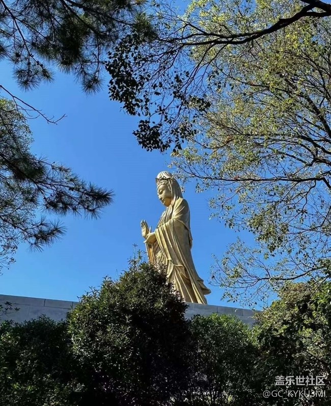 【告别2025】普陀山