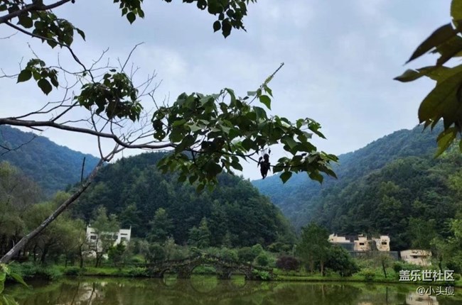 【告别2025】旅旅游