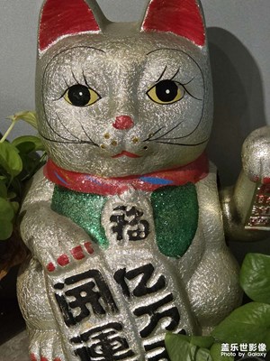 【框住美好】框住那些点滴