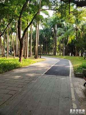 【框住美好】公园日常