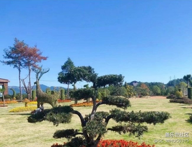 【告别2025】家门口的景