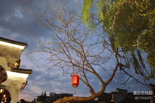 【告别2025】南浔,难寻