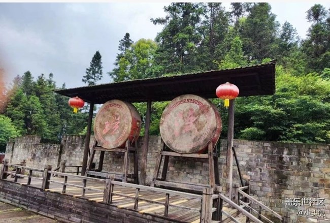 【告别2025】旅旅游