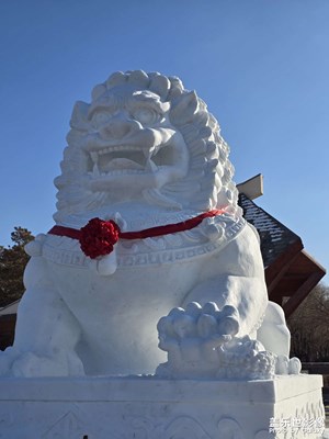 【框住美好】+大雪雕