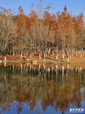 冬日暖阳下的公园