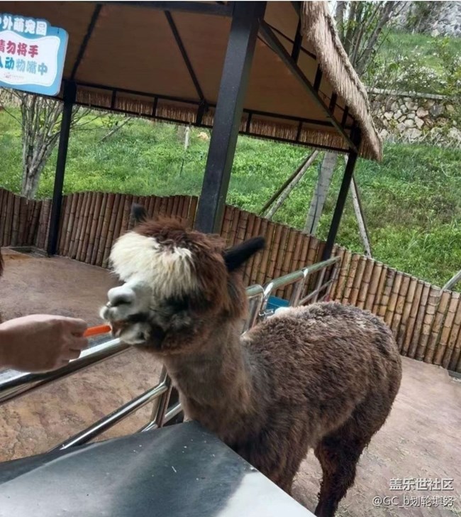 【2026第一站】假期周边游