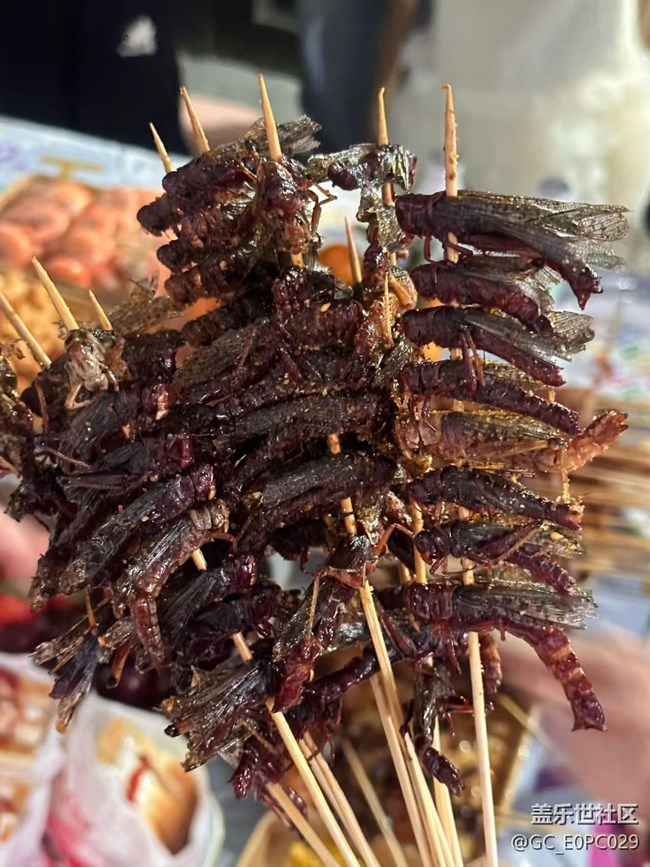 【新岁食语】油炸蚂蚱