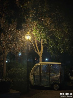 路灯下的小三驴