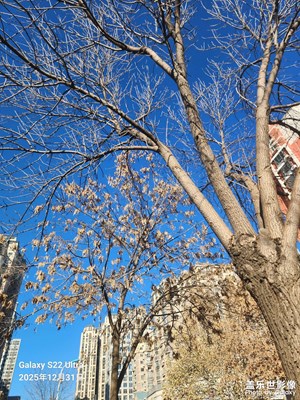 以光影,敬新年 美好的天气