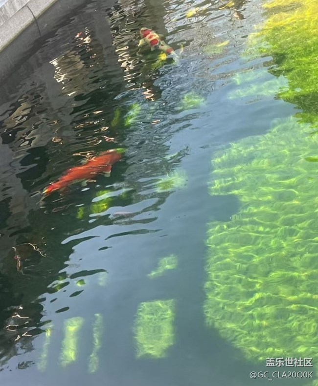 【2026第一站】去祈福