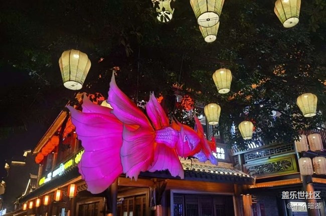 【2026第一站】元旦旅行