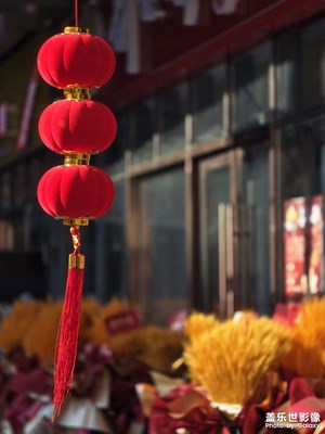 【以光影,敬新年】马到成功