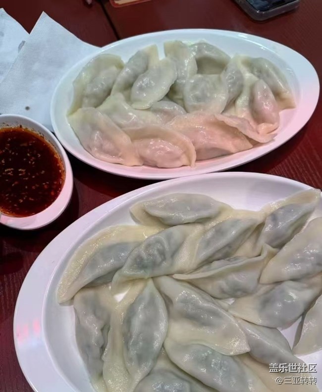 【新岁食语】热乎饺子