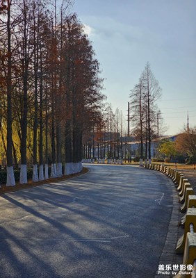 【以光影,敬新年】+乡间小道