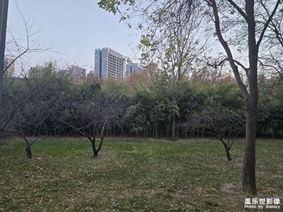 看过的是风景,留下的是人生