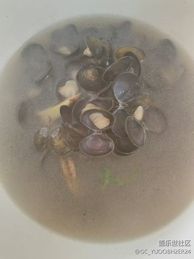 【新岁食语】贝壳汤