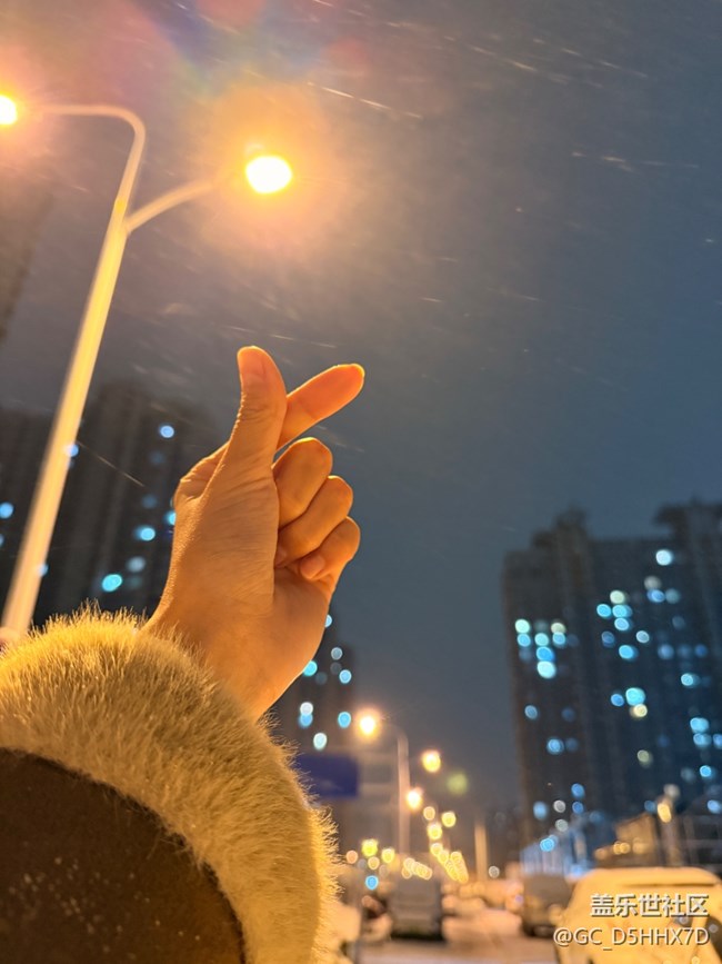 【新序章·灯火】下雪的街景