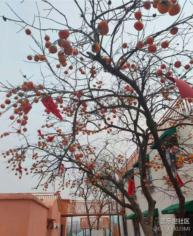 【2026第一站】假期结束