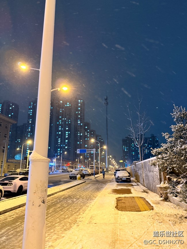 【新序章·灯火】下雪的街景