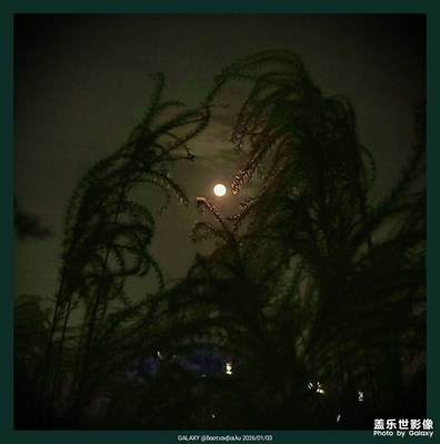 【以光影,敬新年】+超级月亮