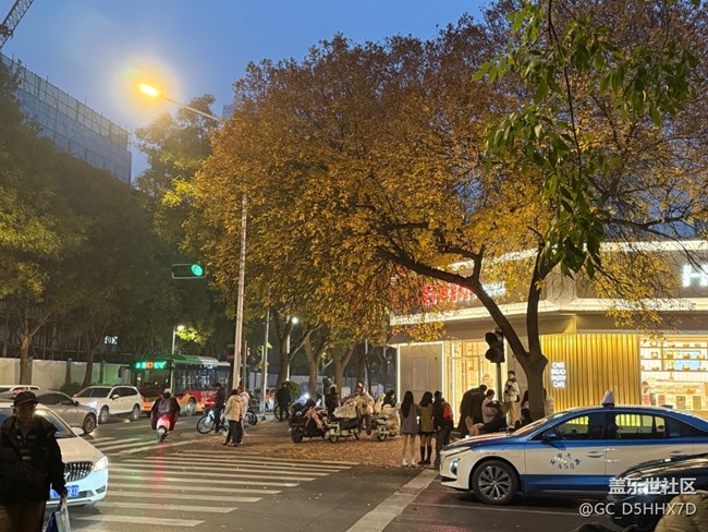 【新序章·灯火】街灯