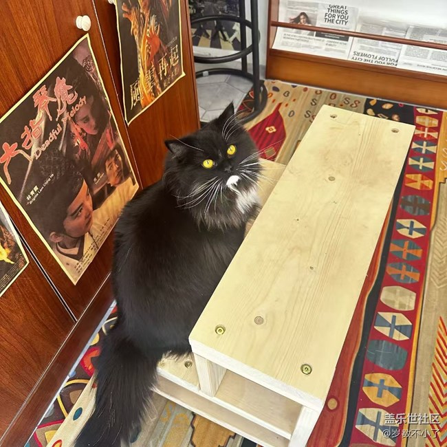 【2026第一站】欢喜之洲.喜洲古镇