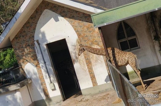 【2026第一站】游玩