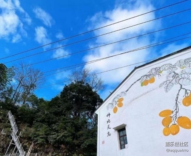 【2026第一站】乡村