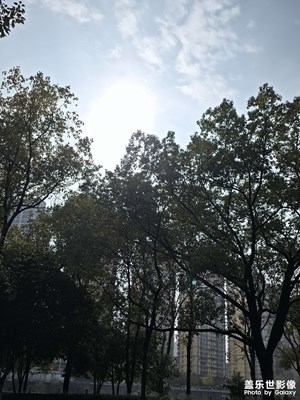 【以光影，敬新年】新年生活随拍