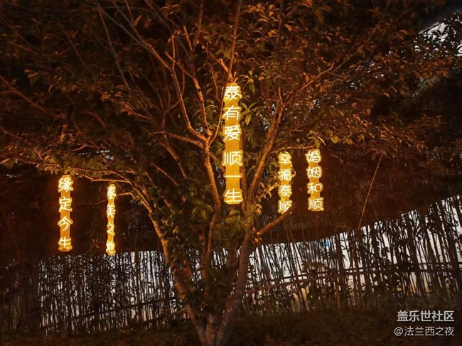 【2026第一站】出去走走