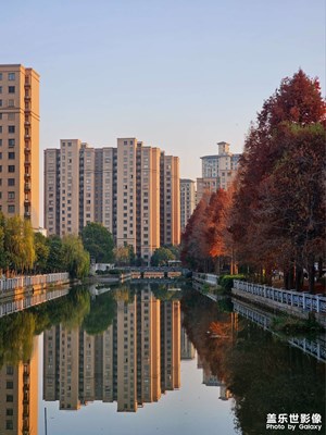 【以光影，敬新年】+小区里的光影